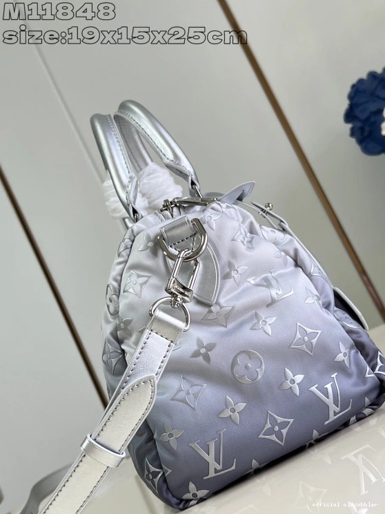 Official oldcobbler SPEEDY LOUIS VUITTON BANDOULIÈRE 25 0818